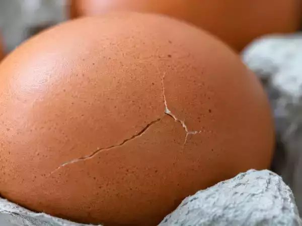 Você comeria um ovo com uma pequena rachadura? O detalhe que faz toda a diferença