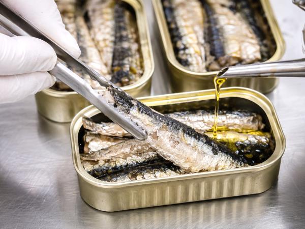 A verdade sobre a sardinha em lata que deixou muita gente surpresa depois de descobrir como ela é feita
