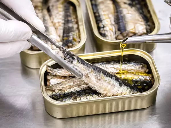 A verdade sobre a sardinha em lata que deixou muita gente surpresa depois de descobrir como ela é feita