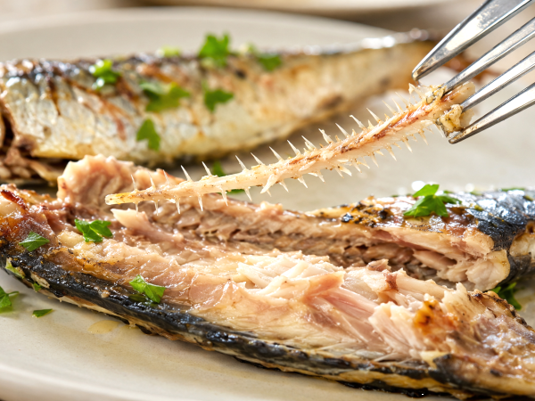 Você joga fora a parte mais nutritiva da sardinha sem imaginar o que está perdendo