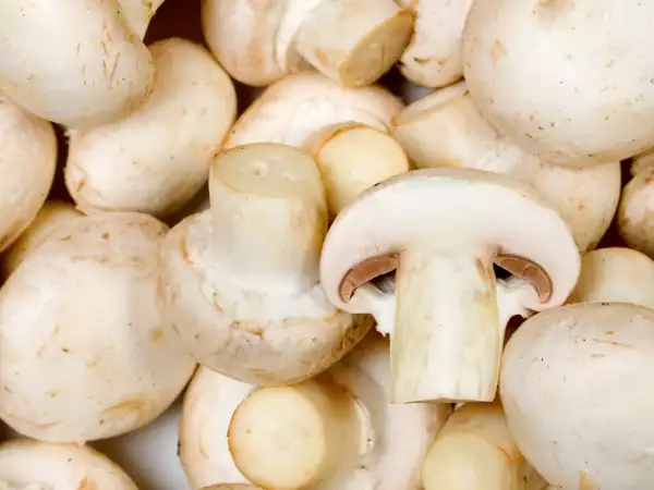 Seus cogumelos estão um pouco escuros? Veja aqui quando cozinhá-los e quando jogá-los fora