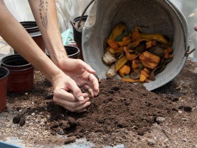 Estes 5 alimentos que você nunca deve colocar em sua composteira