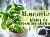 20 ideias de receitas com Manjericão
