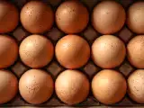 Artigos: Proteína, colesterol, energia... o que acontece se você comer ovos todos os dias?