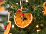 Artigos: Como fazer laranja desidratada para decorações de Natal (e deixar sua casa com cheiro de festa)