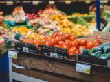 Depois das compras: Como conservar os alimentos?