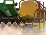 Artigos: Você acha que comer orgânico te protege? Este detalhe sobre o cádmio está causando polêmica