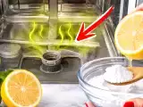 Artigos: Em 5 minutos e sem desodorantes: o método natural para tirar o mau cheiro da máquina de lavar louça