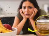 Artigos: Acabe com mosquitos na cozinha em apenas uma noite com este remédio natural — sem sprays químicos