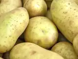 Artigos: Você acha que é só descascar e pronto? O que ninguém te contou sobre a batata esverdeada na sua cozinha