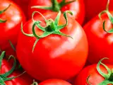 Artigos: O truque simples para que os tomates não amadureçam antes da hora