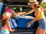 Artigos: Os alimentos que nunca deve deixar dentro do carro no verão (e quase toda a gente leva)