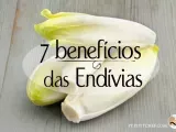 7 benefícios das Endívias