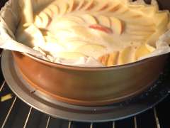 foto de fernanda_s2023_29