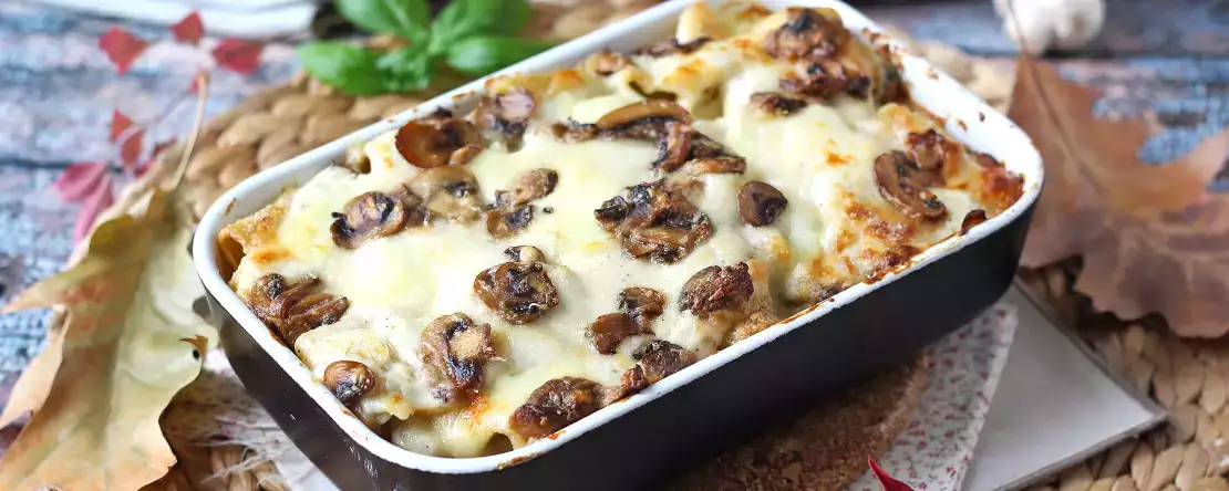 Macarrão gratinado com bechamel e cogumelos: gourmet e fácil de fazer