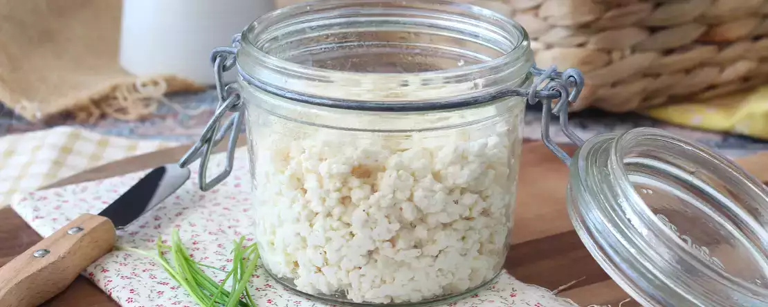 Queijo cottage caseiro com apenas dois ingredientes!
