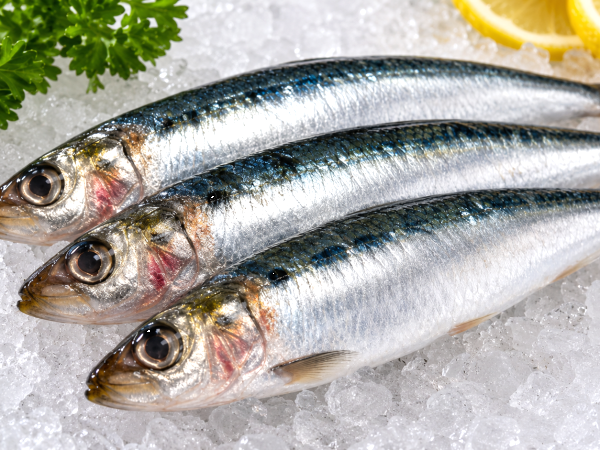 Como identificar uma sardinha que não está boa? Os sinais que nunca deve ignorar