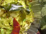 Receita Picadinho de repolho indiano (vegana)
