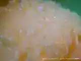 Receita Arroz doce cremoso
