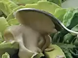 Receita Salada crocante de alface e abacate com molho de maionese