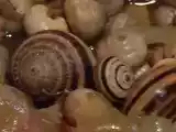 Receita Caracóis com tempero !