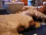 Receita Peitos de frango com molho tropical