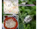Receita Bifinhos com natas na actifry