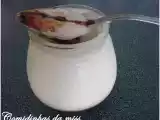 Receita Iogurtes caseiros