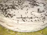 Receita Semifrio de bolacha