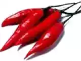 Receita Sabor Pimenta!