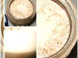 Receita Iogurte de baunilha com bolacha