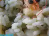 Receita Risoto de camarão e gengibre