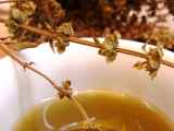 Receita Azeite de manjerição ? molhos e condimentos