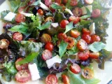 Receita Salada de tomates com duas alfaces, brie e hortelã