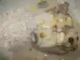 Receita Hamburguers no forno com béchamel