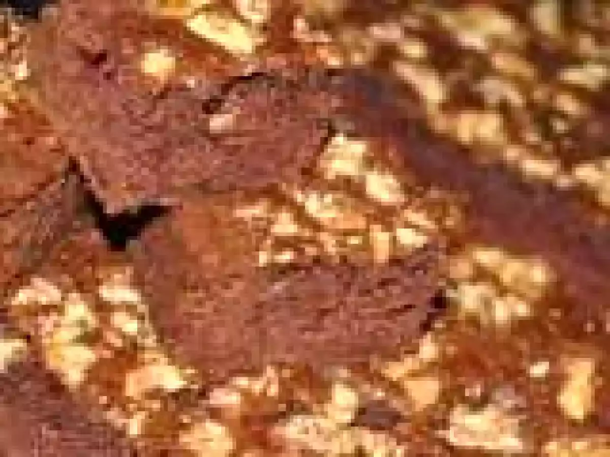 BOLO DE TABULEIRO DE CHOCOLATE DE NOZES