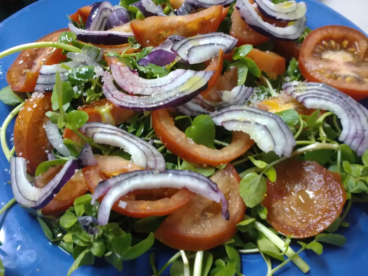 Receita Salada de agrião com tomate e cebola roxa
