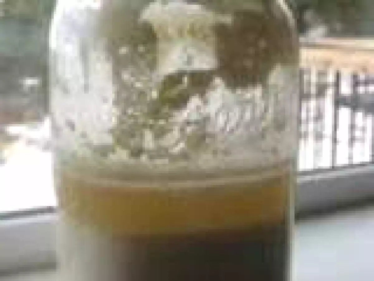 Fermento caseiro