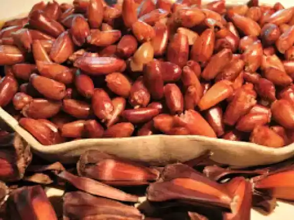 Receita Aprenda a fazer bolo e pão de pinhão