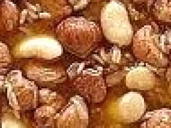 Receita Sopa de castanhas piladas