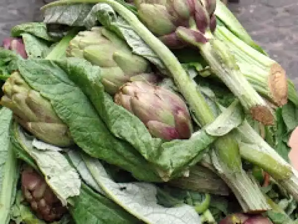 Receita Alcachofras a moda judia - carciofia alla giudia