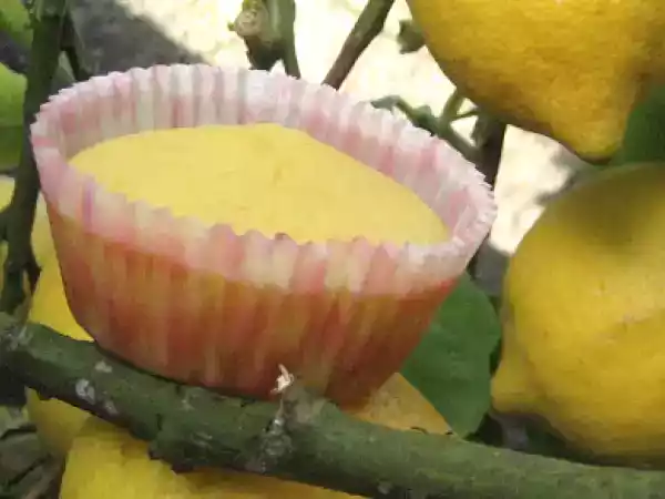 Receita Muffins de limão