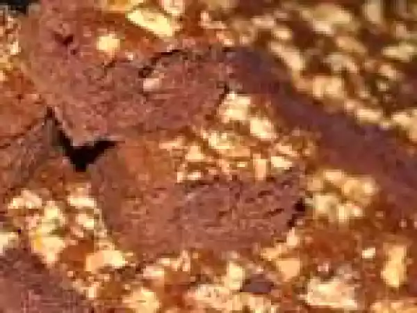 Receita BOLO DE TABULEIRO DE CHOCOLATE DE NOZES