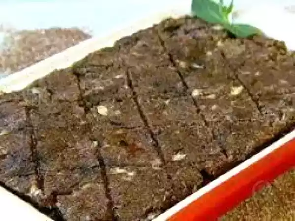 Receita Receita de kibe de mortadela (comida típica árabe)