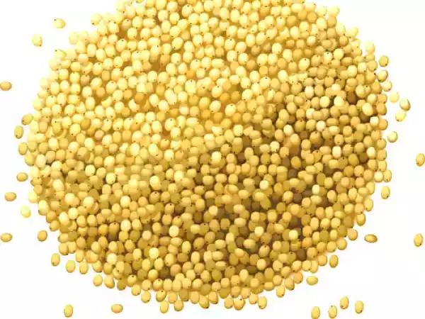 Receita Empadão de millet