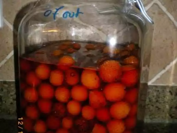 Receita Licor de medronho