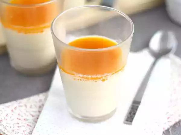 Receita Panna cotta vegan sabor coco