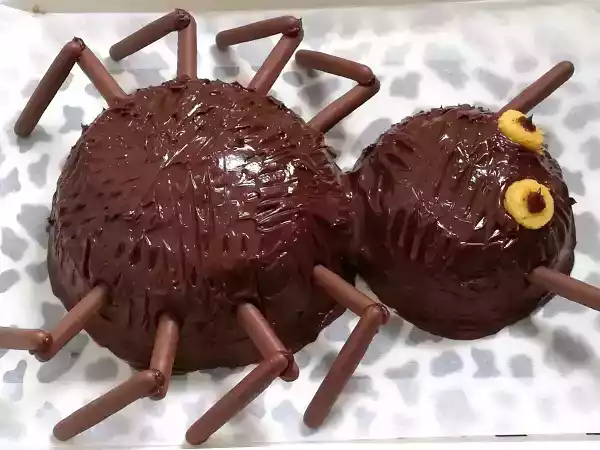 Receita Bolo aranha-bolo tangerina-especial halloween