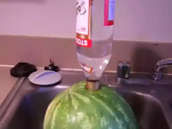 Receita Melancia bebada !!