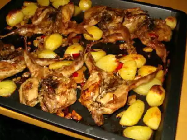 Receita Codornizes assadinhas no forno